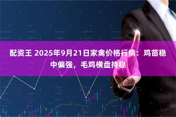 配资王 2025年9月21日家禽价格行情：鸡苗稳中偏强，毛鸡横盘持稳