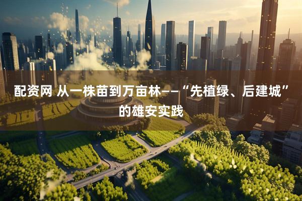 配资网 从一株苗到万亩林——“先植绿、后建城”的雄安实践
